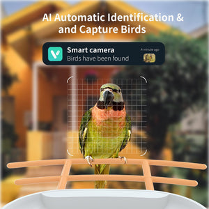 Smart Bird Feeder Camera Solar Battery Outdoor Wireless AI Recognizable Bird Feeder