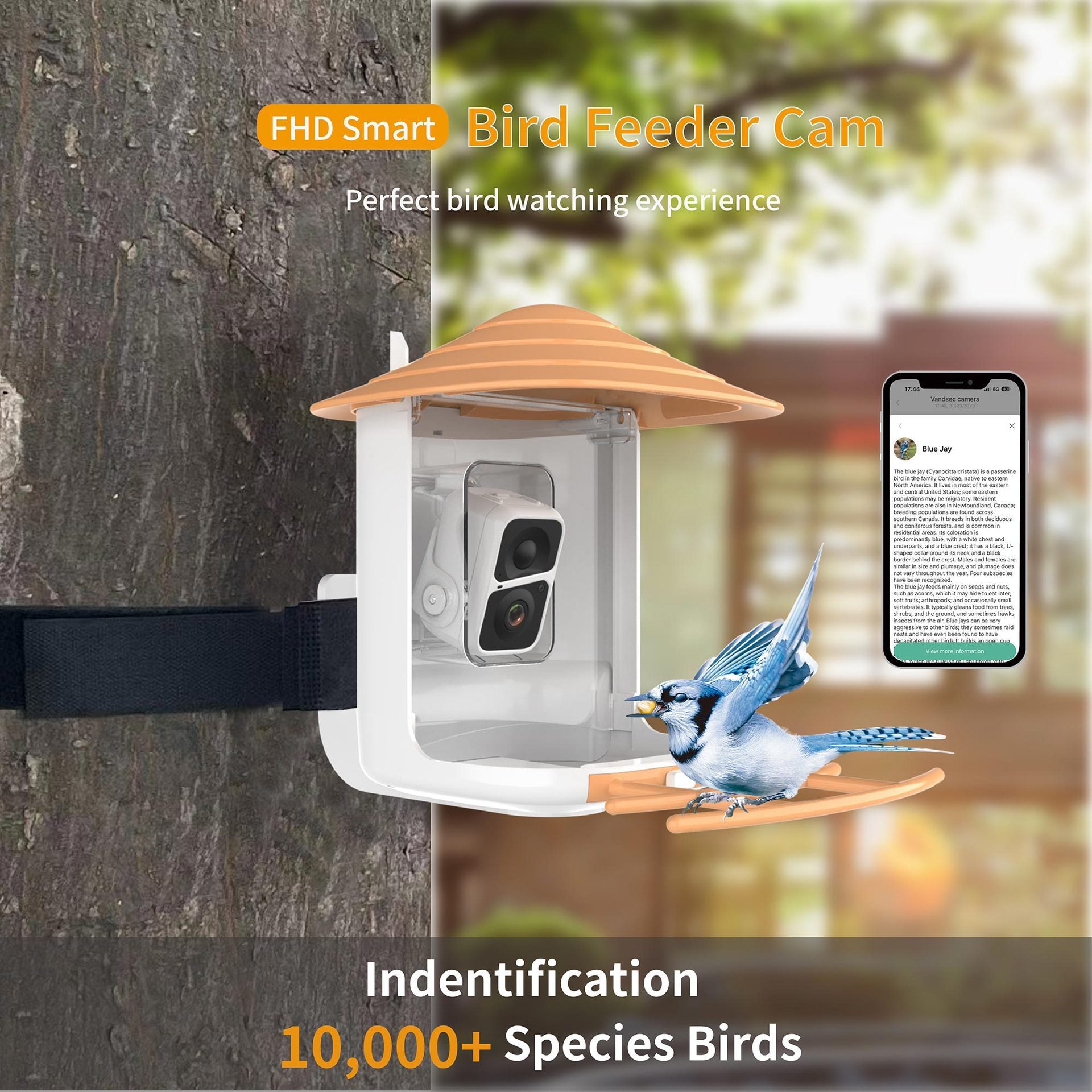 Smart Bird Feeder Camera Solar Battery Outdoor Wireless AI Recognizable Bird Feeder