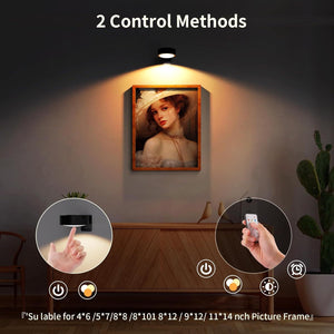 LED Art Display Light Battery Powered Magnetic Painting Light With Remote Control Wireless Home Wall Decoration